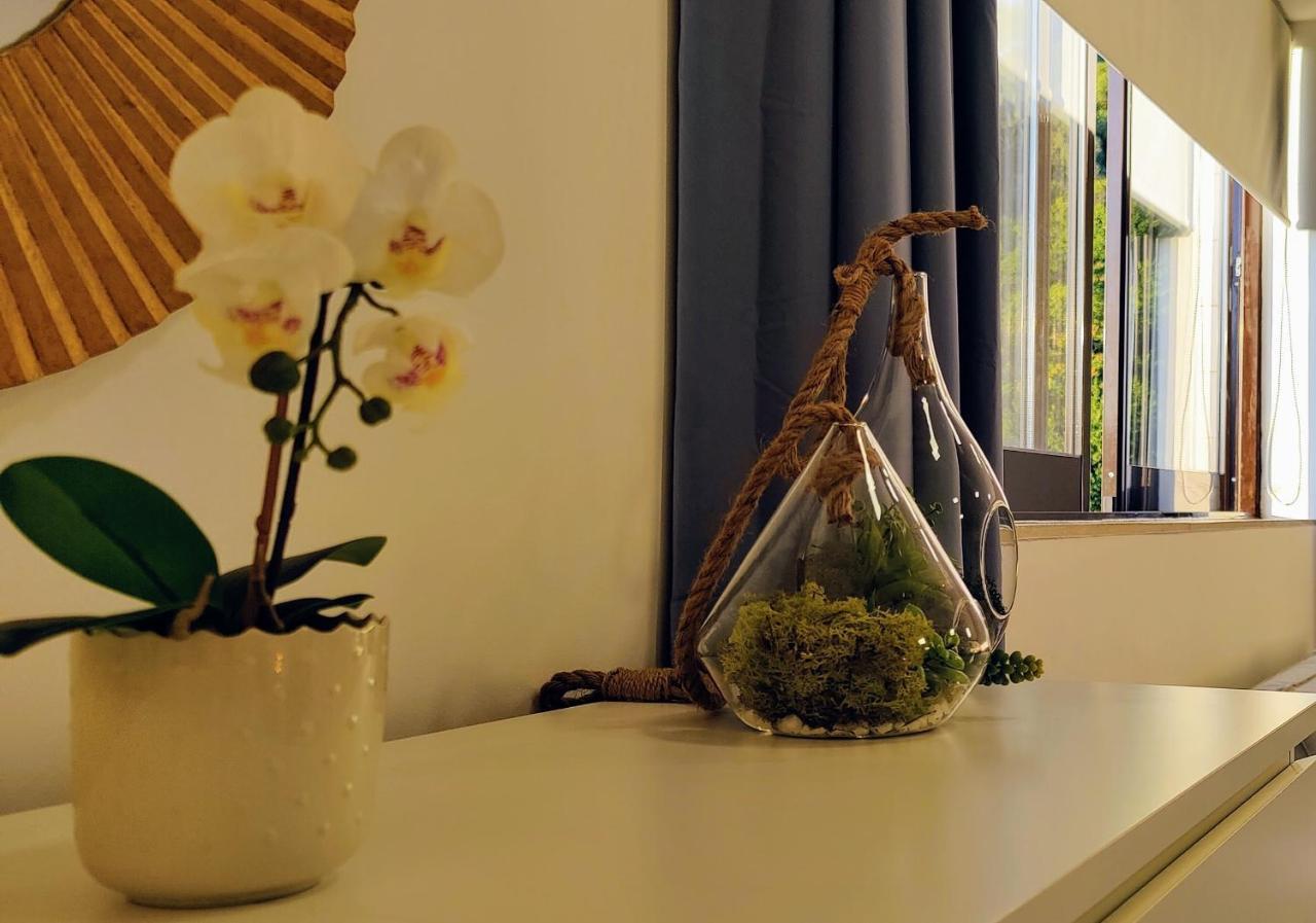 Stylish And Elegant Studio - Best View And Location In Coimbra Downton Luaran gambar